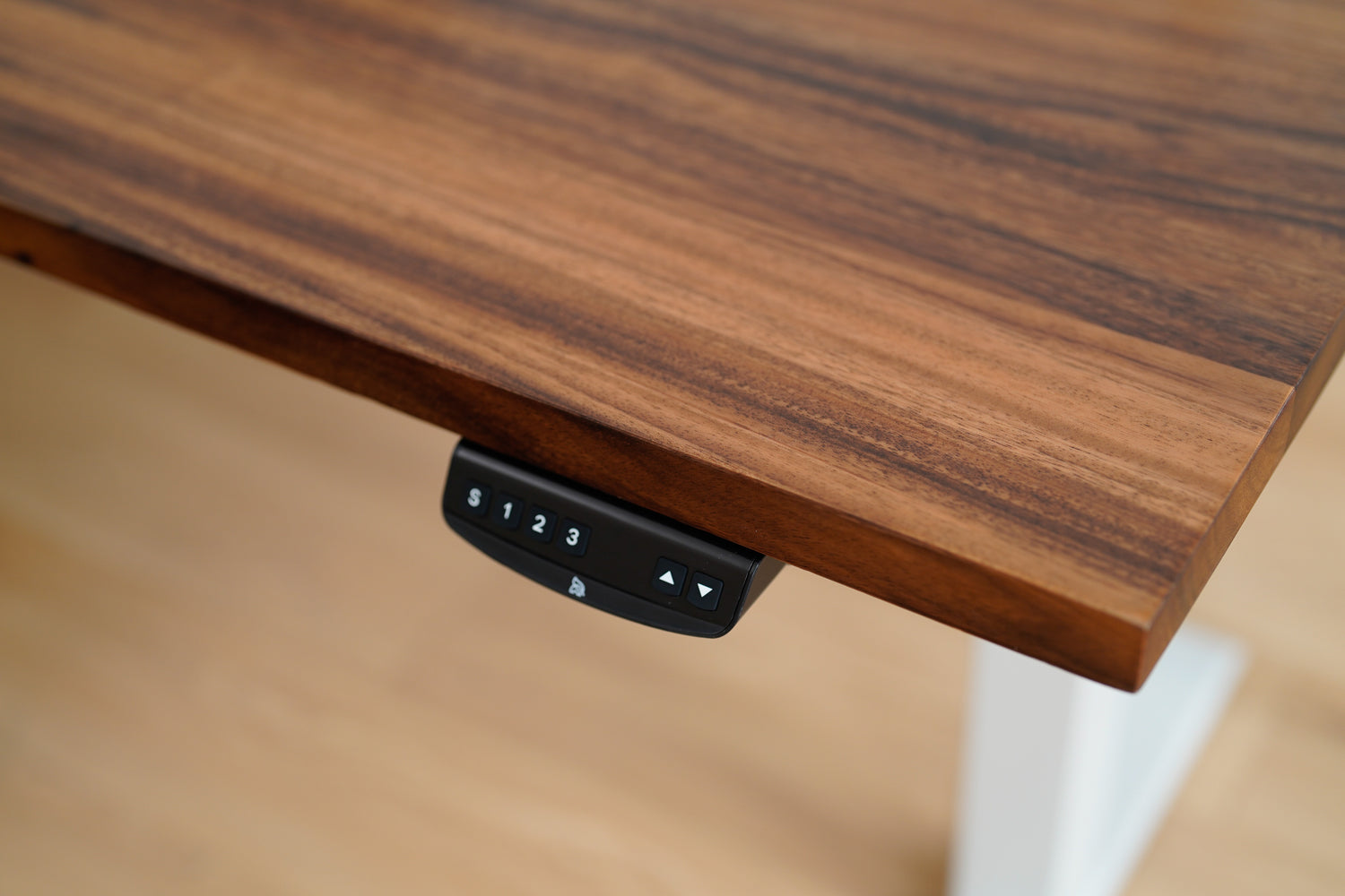 Walnut_Standing_Desk_White1