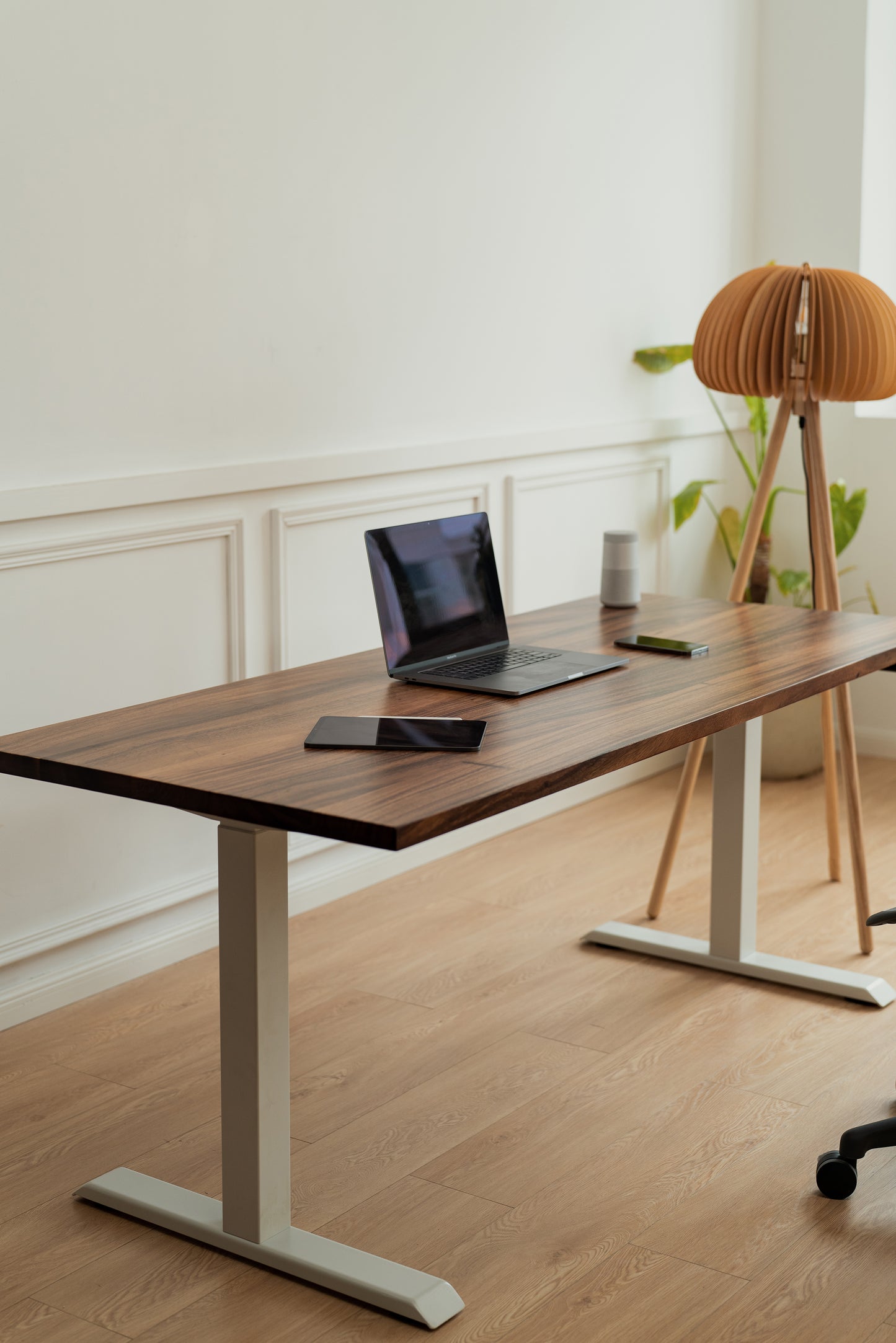 WalnutSolidWood_White_SceneView1_ElephantDesks_AbundanceStandingDesk