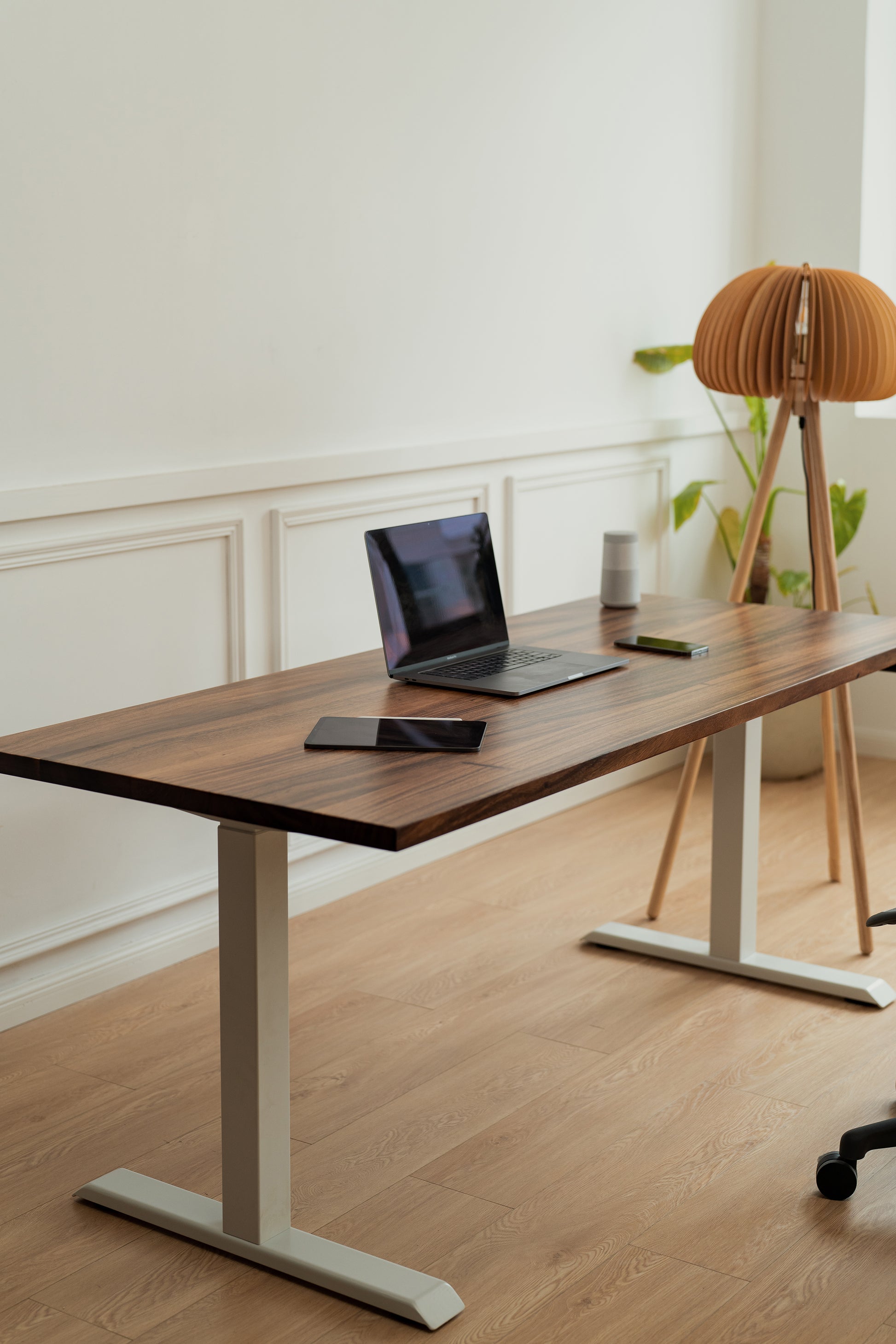 WalnutSolidWood_White_SceneView1_ElephantDesks_AbundanceStandingDesk