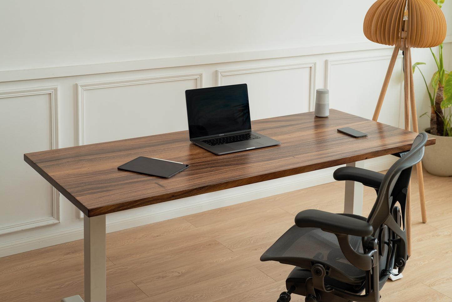 WalnutSolidWood_White_SceneView_ElephantDesks_AbundanceStandingDesk