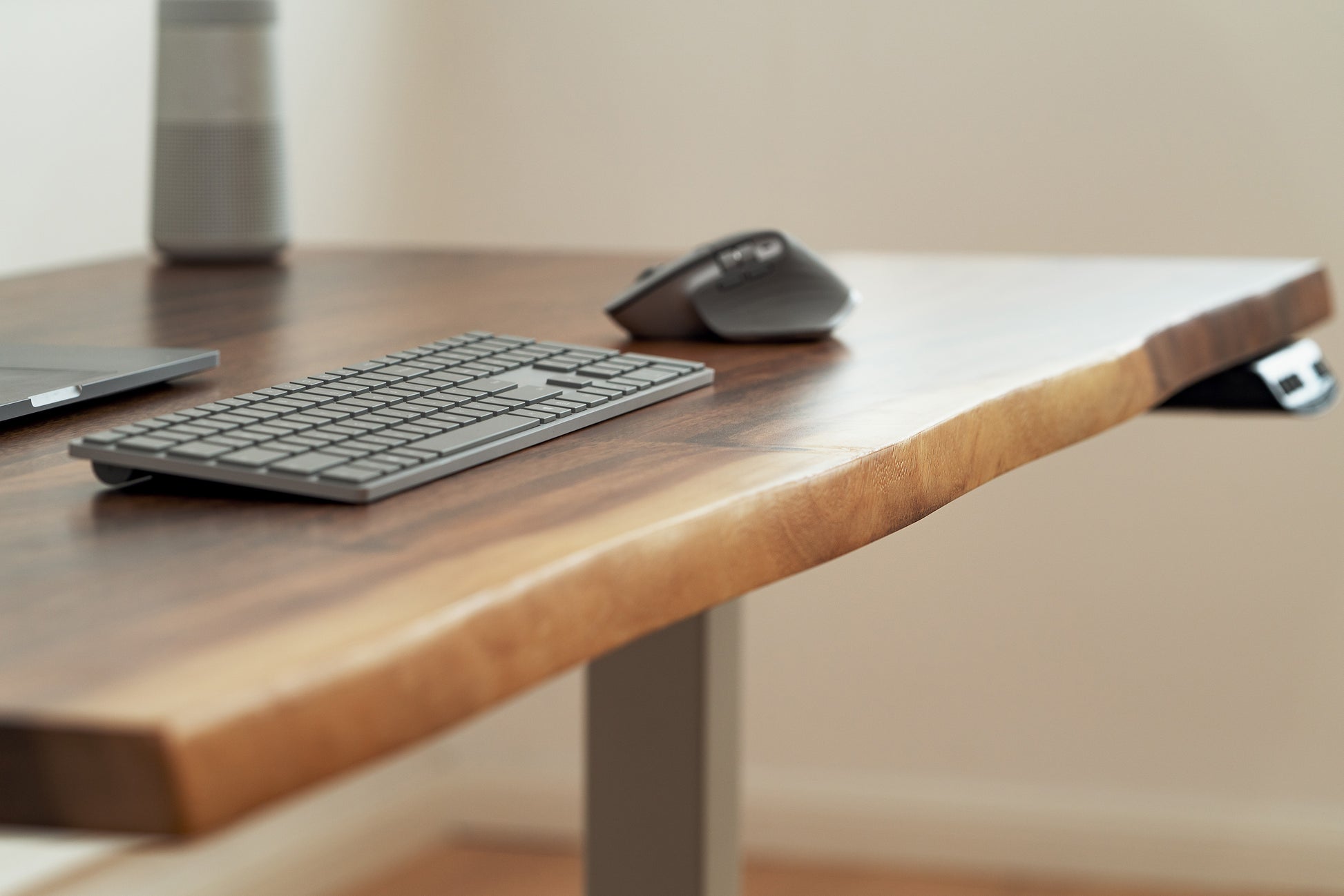     LiveEdgeWalnutSolidWood_White_SceneView2_ElephantDesks_WavyStandingDesk